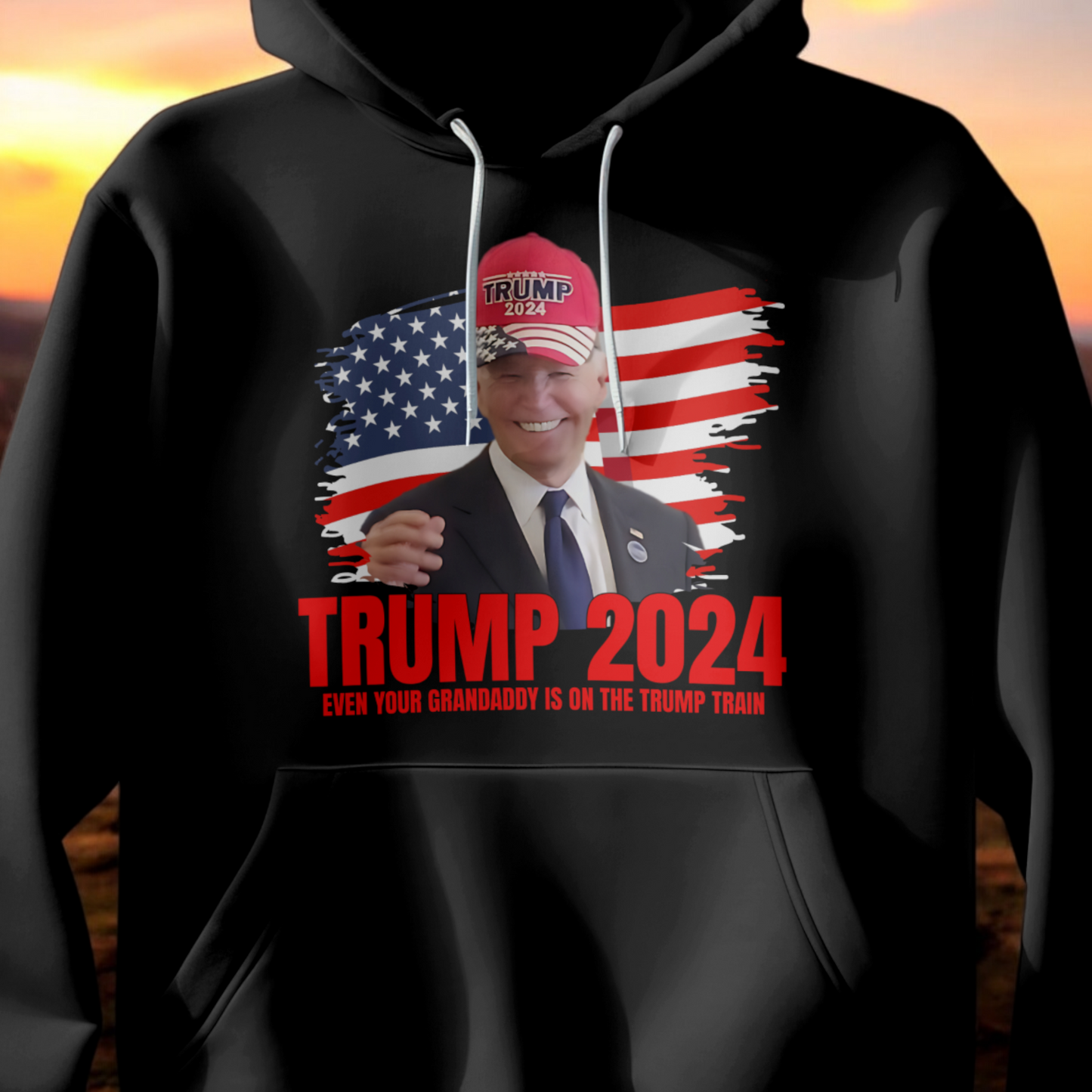 BIDEN TRUMP HAT TSHIRT/HOODIE