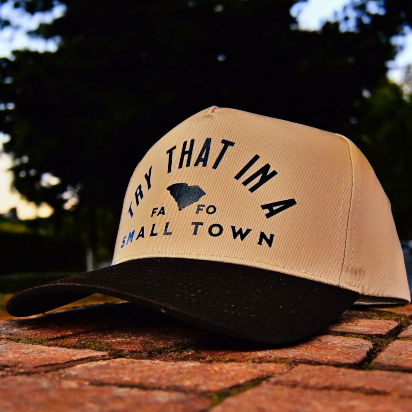 SMALL TOWN HAT